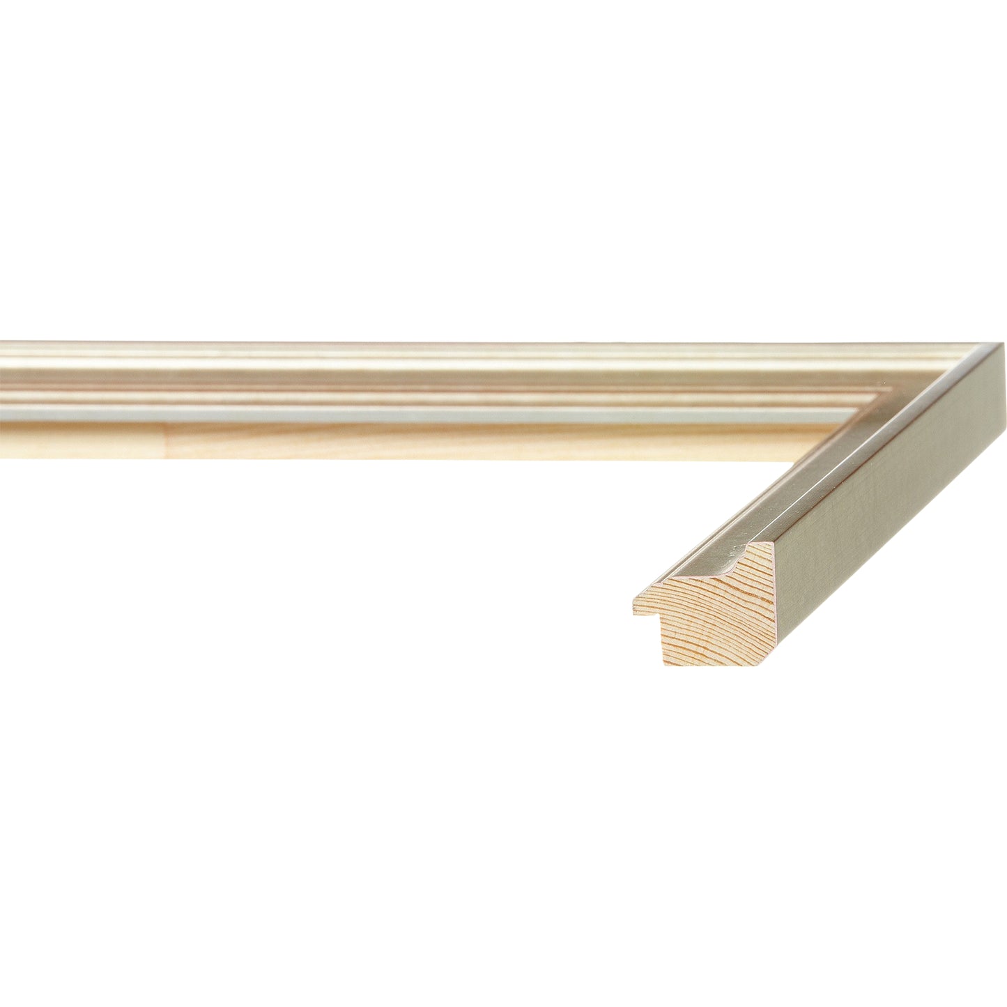 Gilded Silver Modern Medium Width Table Top Frame