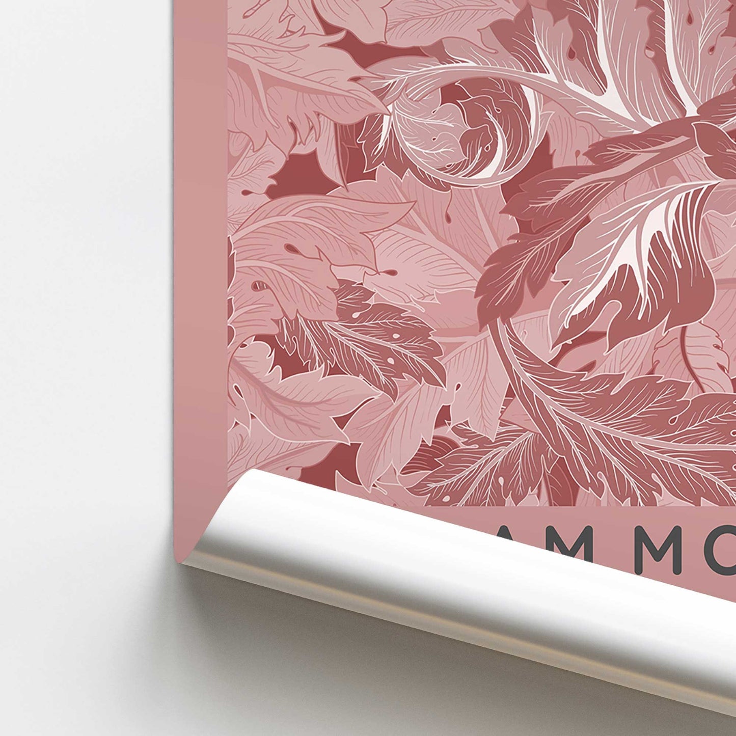 Blush Acanthus by William Morris Promotional Rolled Print