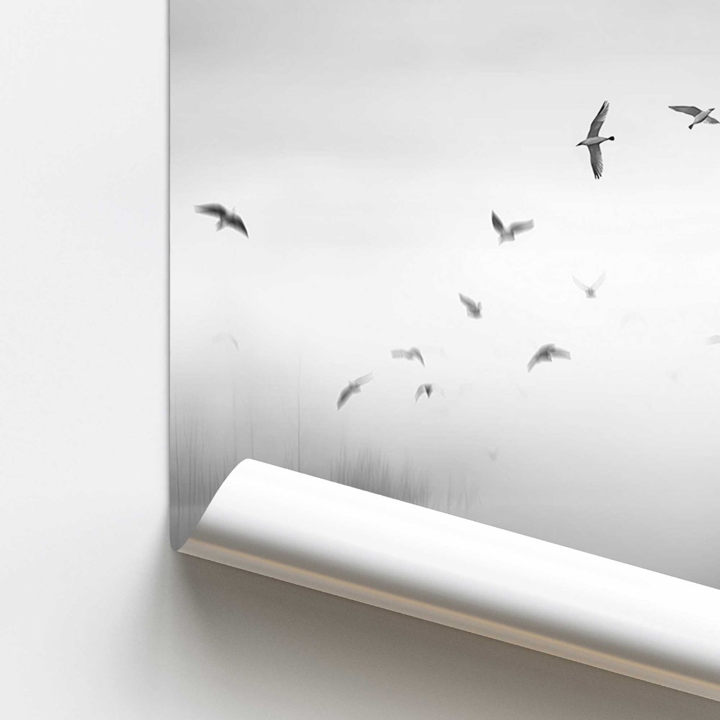 Ethereal Flight Serenade Promotional Rolled Print