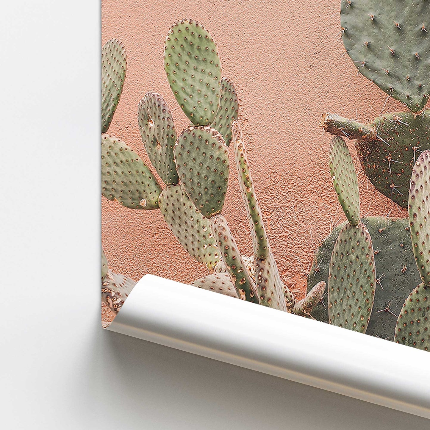 Desert Flora Promotional Rolled Print