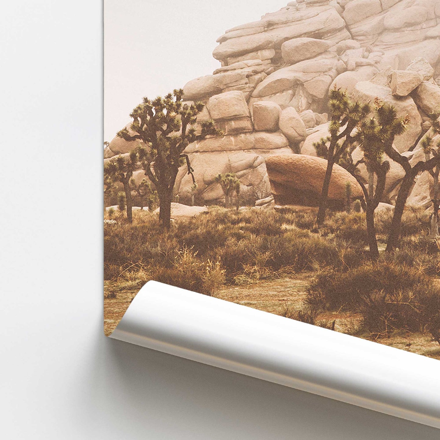 Joshua Tree Vista Promotional Rolled Print