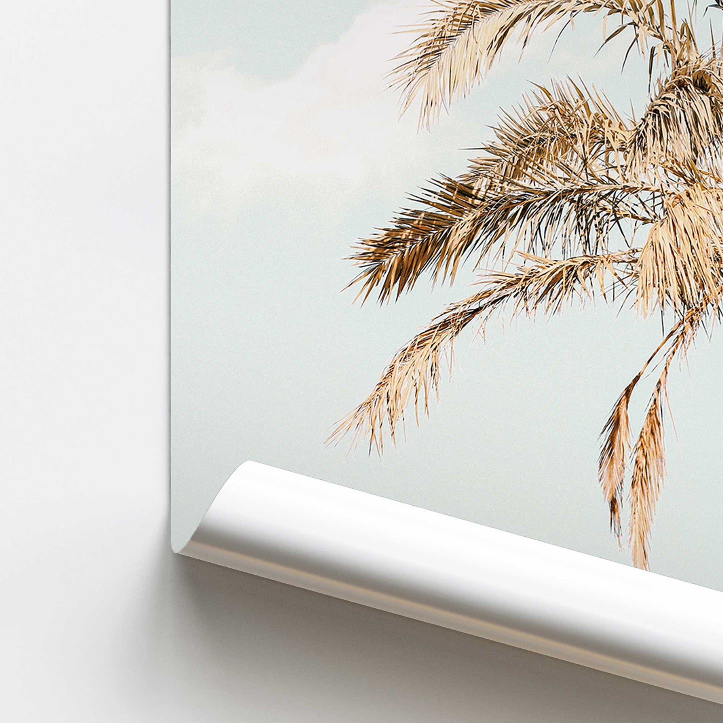 Garden Palm View Promotional Rolled Print