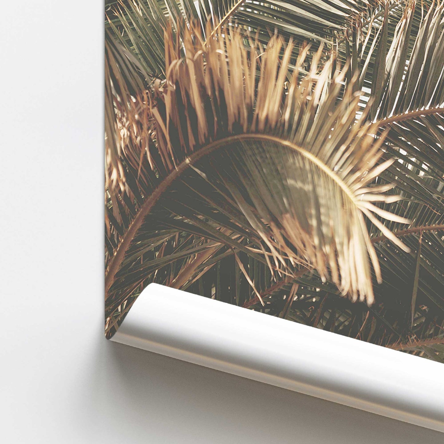 Palm Grove Bliss Promotional Rolled Print