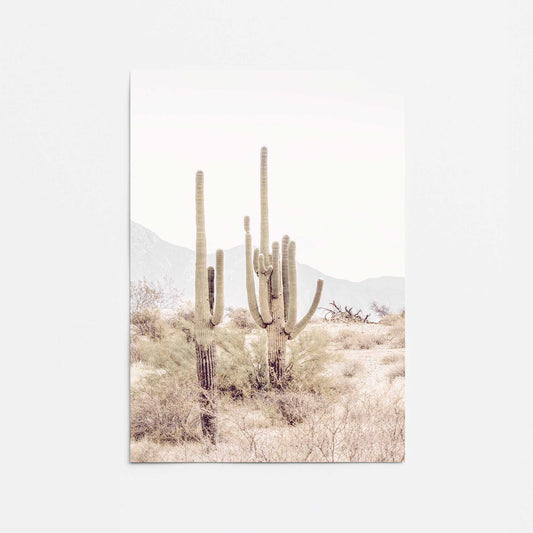 Cacti in Chorus Promotional Rolled Print