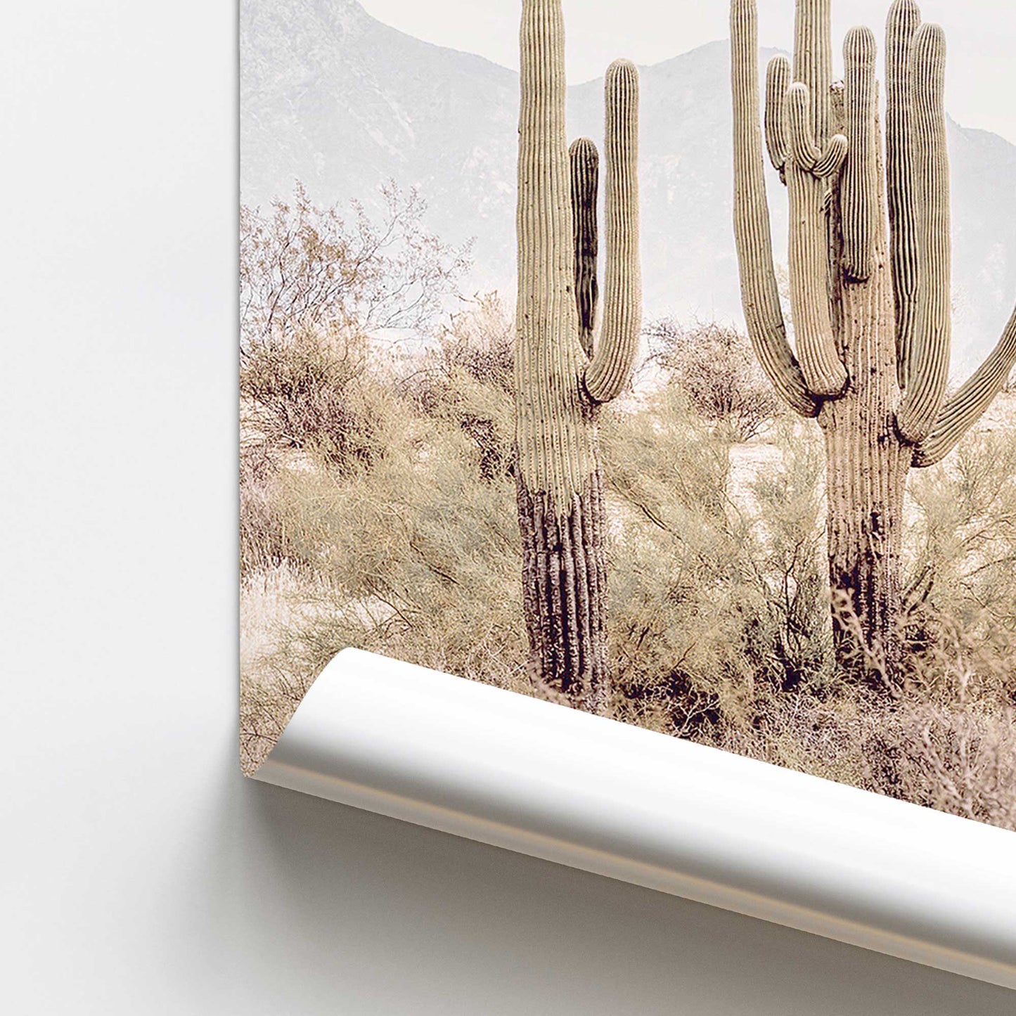 Cacti in Chorus Promotional Rolled Print