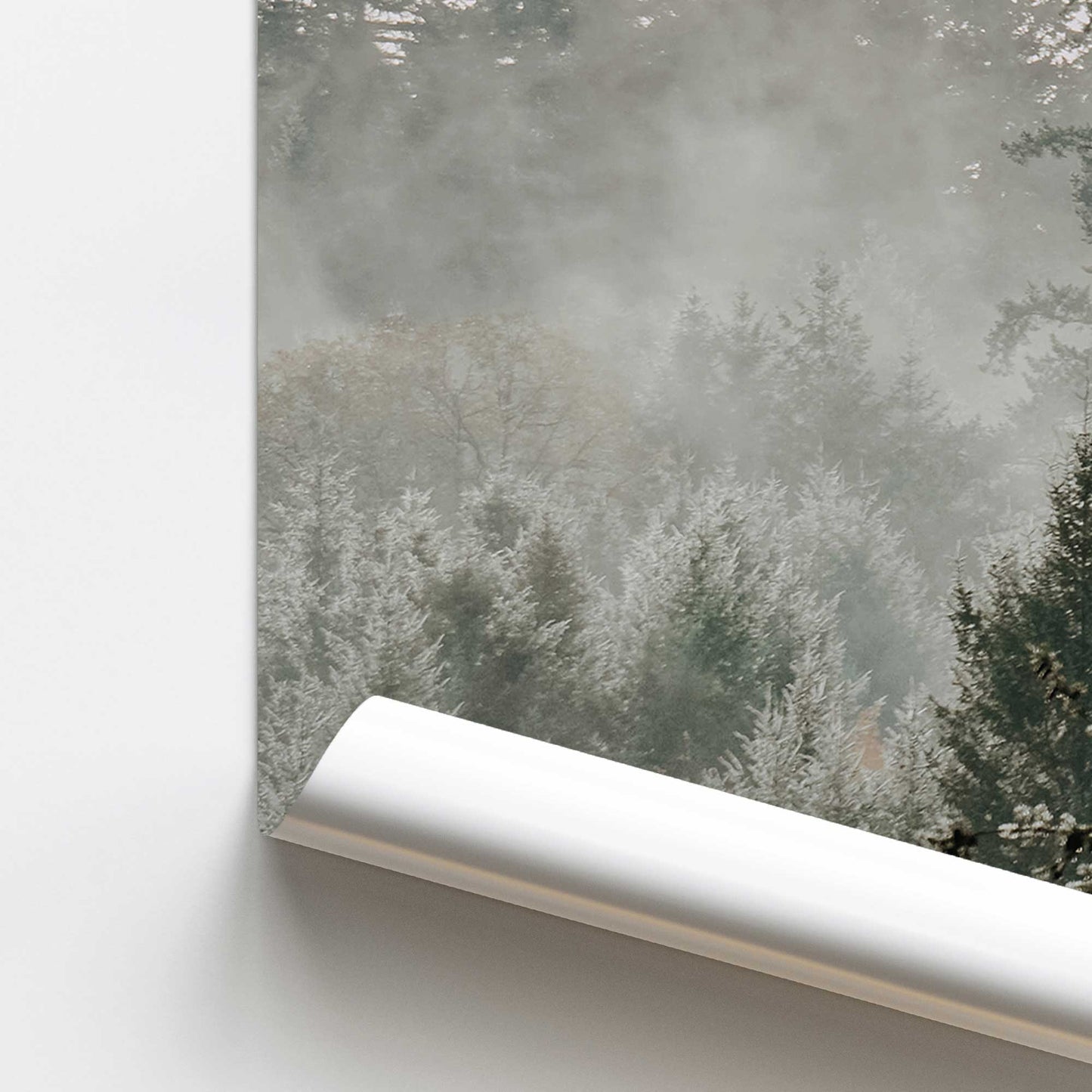 Hushed Evergreens Promotional Rolled Print