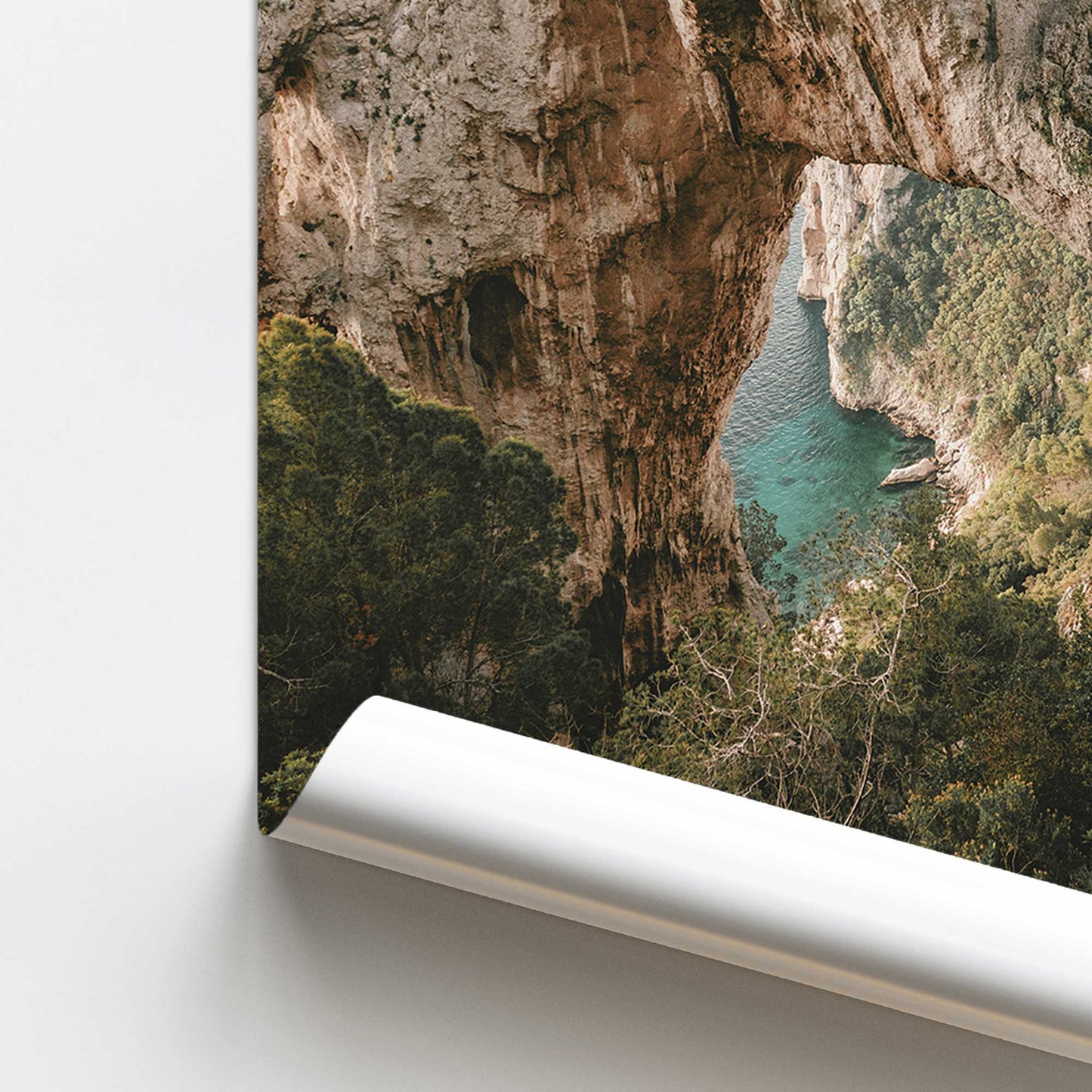 Nature's Archway Promotional Rolled Print