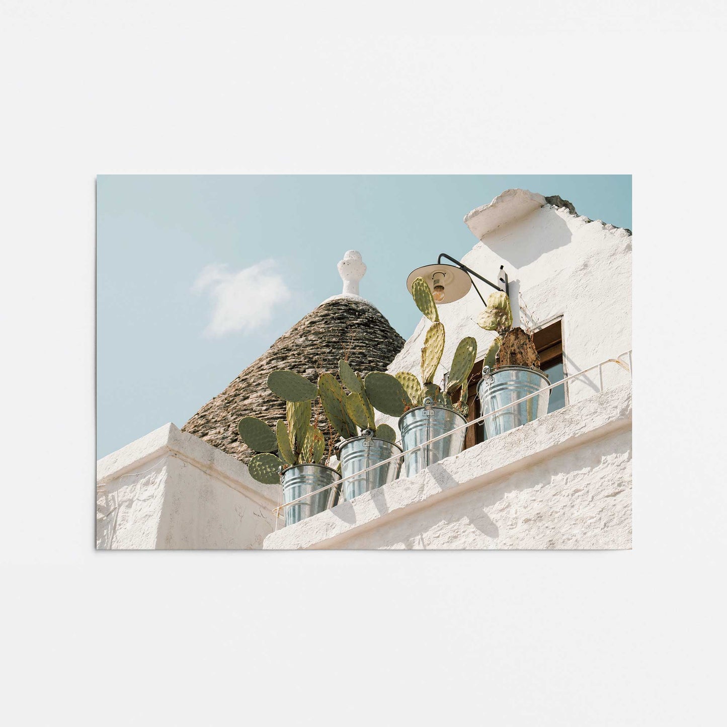 Cacti Perch Promotional Rolled Print