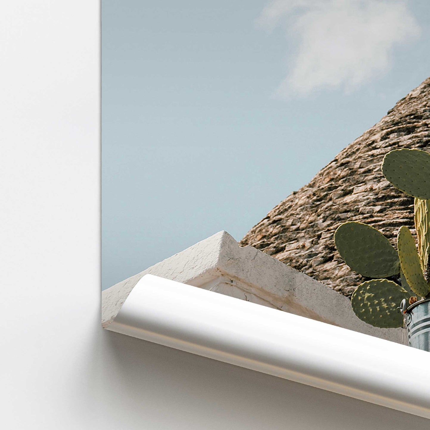 Cacti Perch Promotional Rolled Print