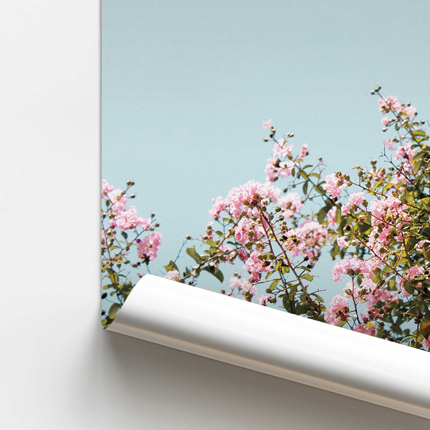 Blossoming Canopy Promotional Rolled Print