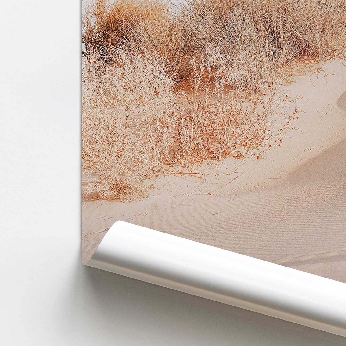 Golden Sandscape Promotional Rolled Print