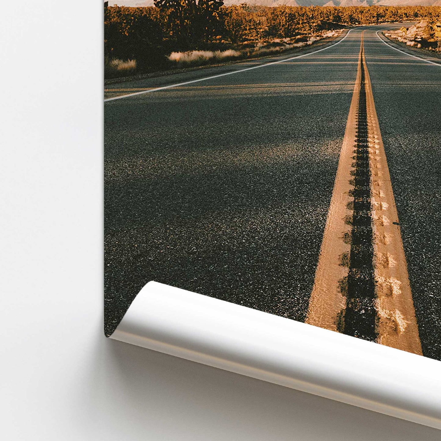 Desert Pathways Promotional Rolled Print