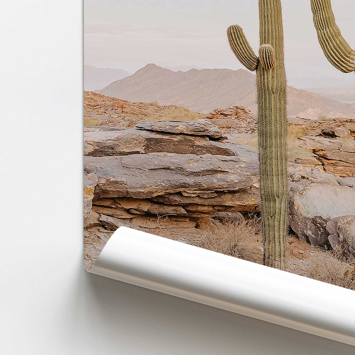 Desert Majesty Promotional Rolled Print