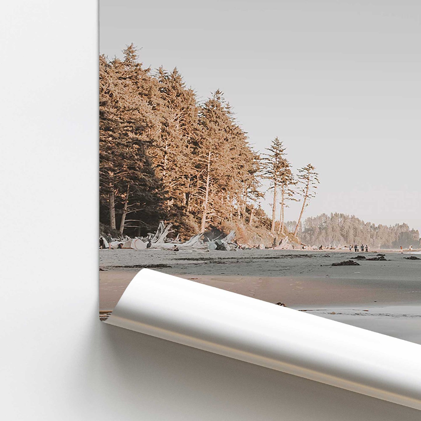 Coastal Elegance Promotional Rolled Print