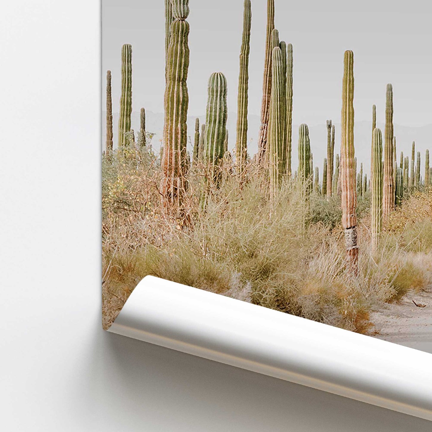 Desert Tranquility Print Promotional Rolled Print