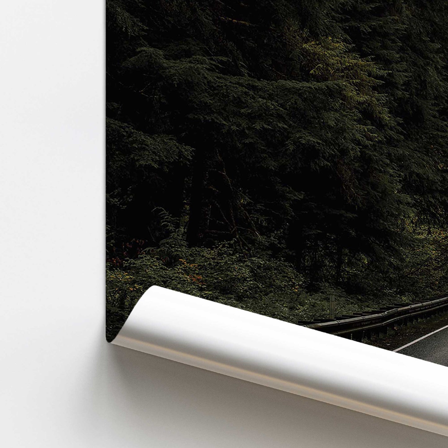 Forest Road Print Promotional Rolled Print