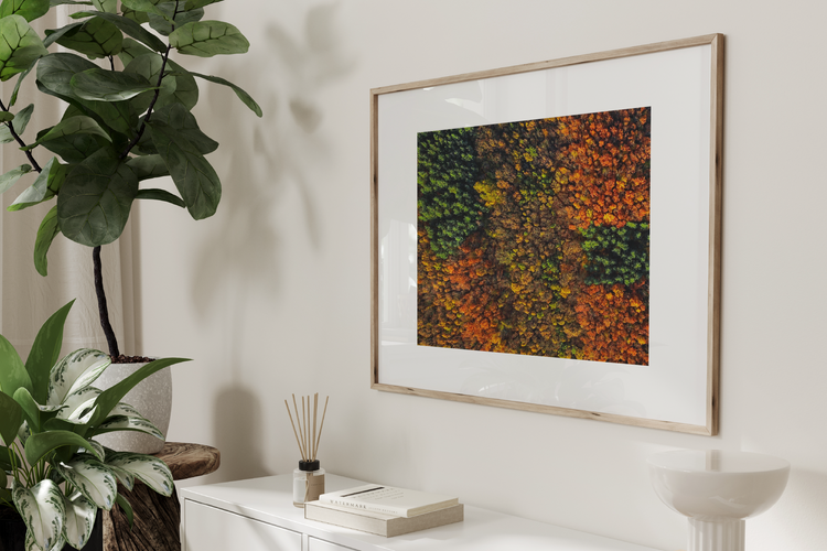 Sustainable Picture Frames for the Eco-Conscious Home – Frametolia.