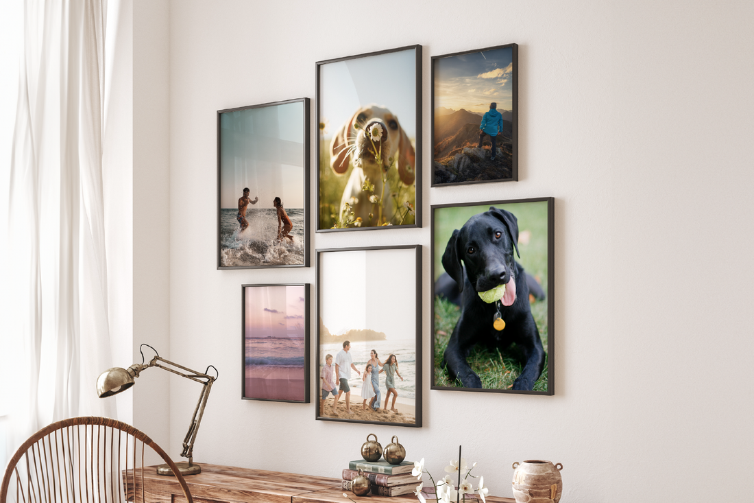 How to Take Good Pictures of Pets