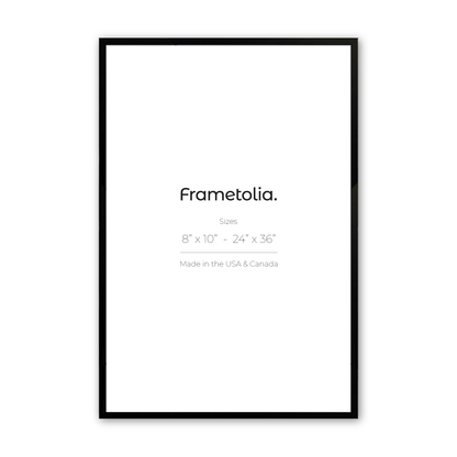 Satin Black Manhattan Wall Frame