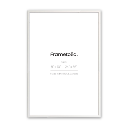 Opaque White Manhattan Modern Wall Frame