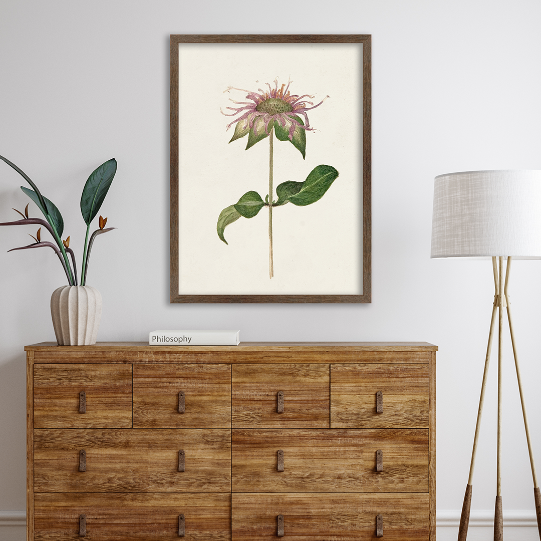 Soft Gray Sierra Wall Frame Hanging on the wall