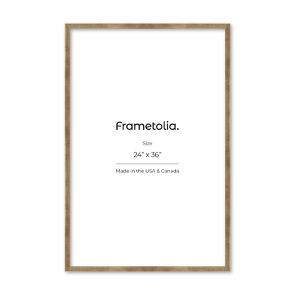 24" x 36" Pale Silver Monaco Wall Frame