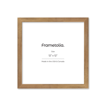 12" x 12" Brushed Gold Monaco Wall Frame