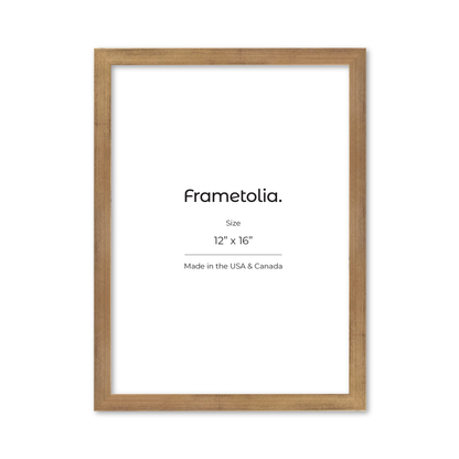 12" x 16" Brushed Gold Monaco Wall Frame