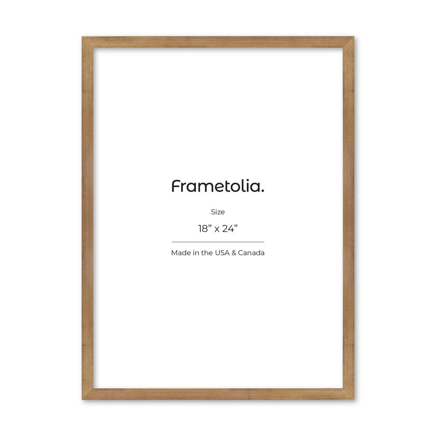 18" x 24" Brushed Gold Monaco Wall Frame