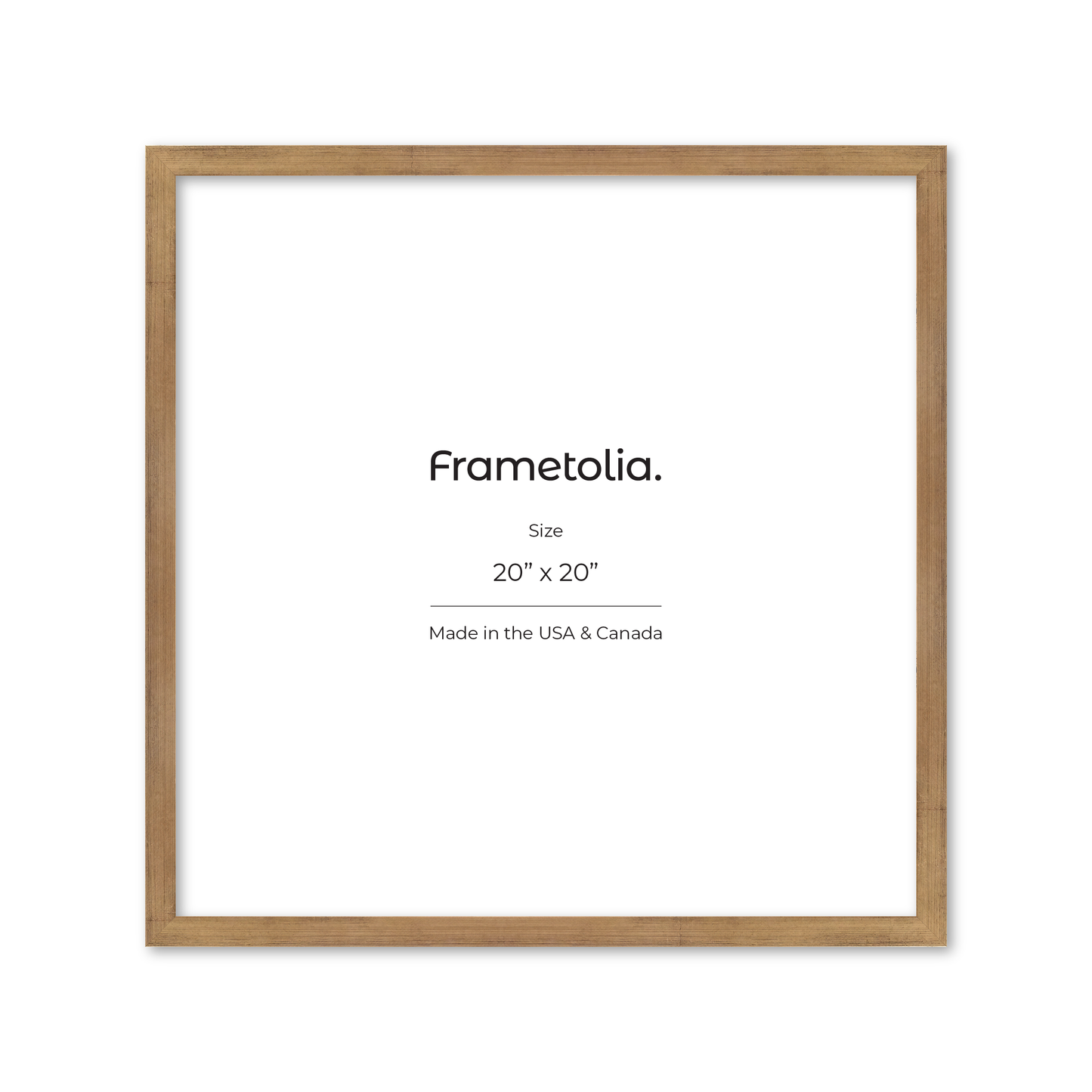 20" x 20" Brushed Gold Monaco Wall Frame