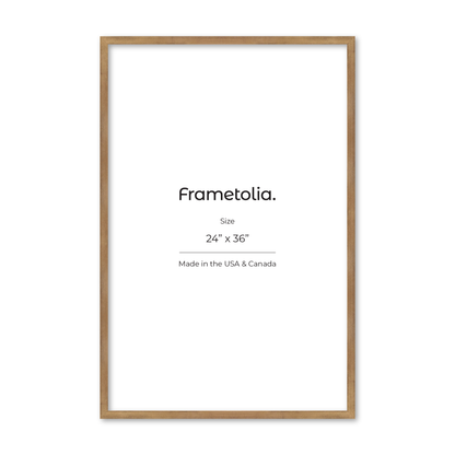 24" x 36" Brushed Gold Monaco Wall Frame