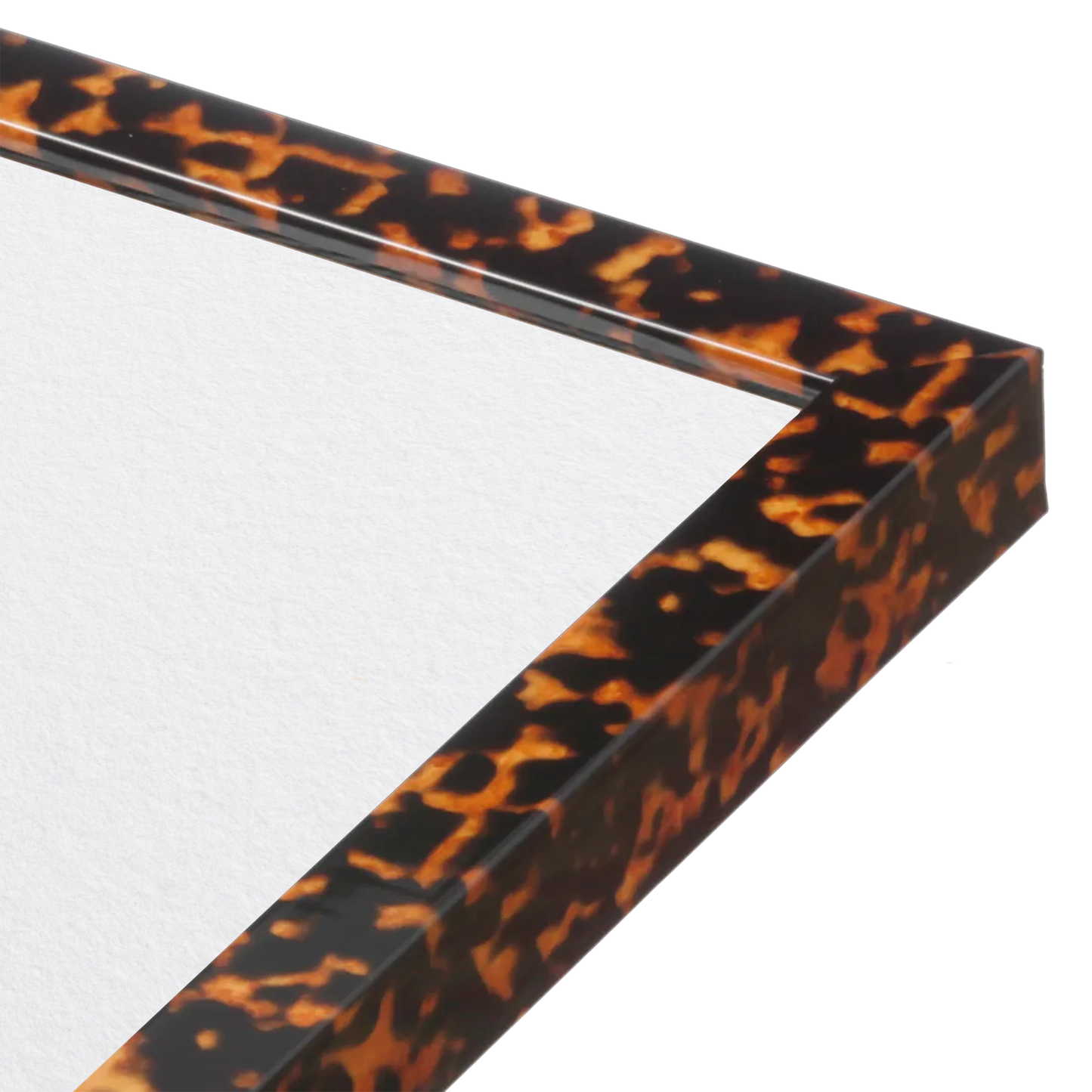 corner of the Tortoise Burlwood Lucca Wall Frame
