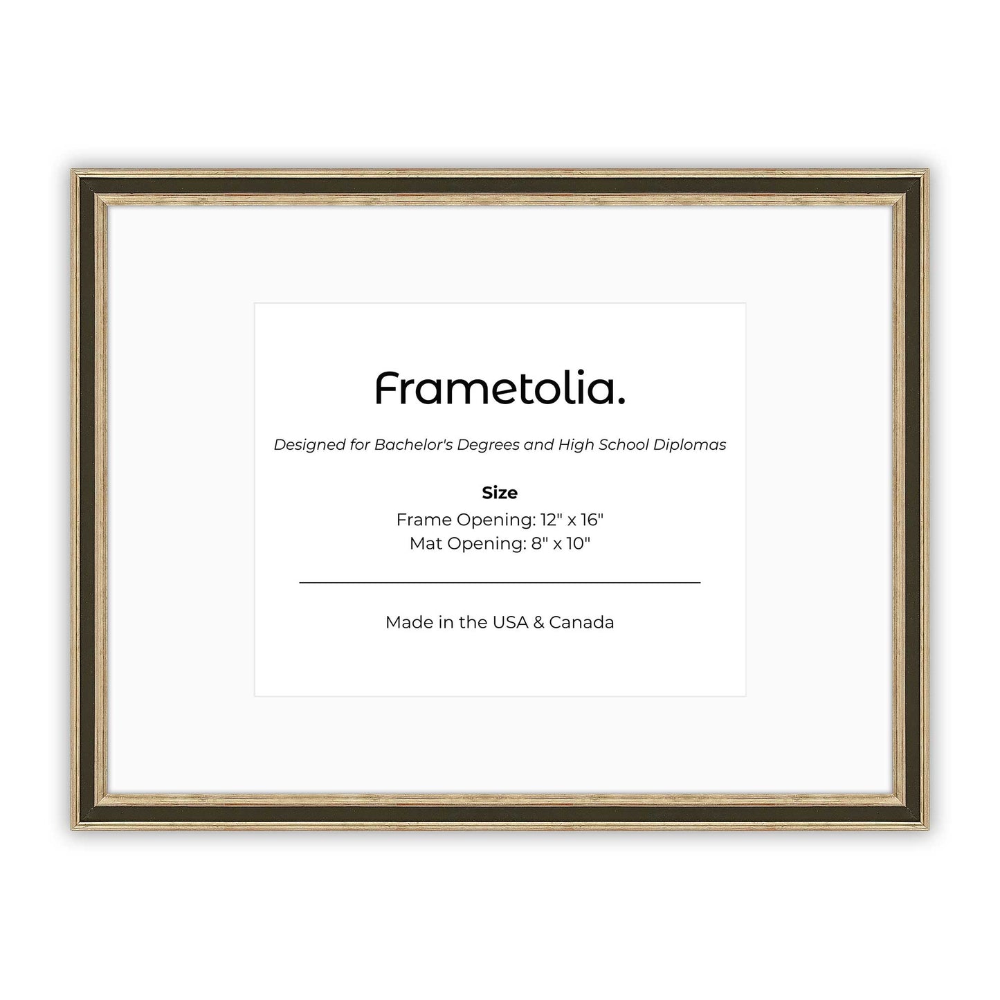 12" x 16" Gilded Silver FAMILY  Diploma Frame with Mat - 8 x 10 opening