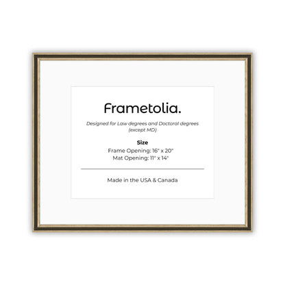 16" x 20" Gilded Silver FAMILY  Diploma Frame with Mat - 11 x 14 opening
