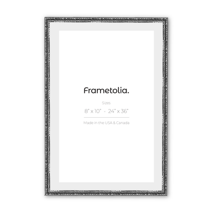 18" x 24" Shimmering Silver Renaissance Charm Medium Width Wall Frame