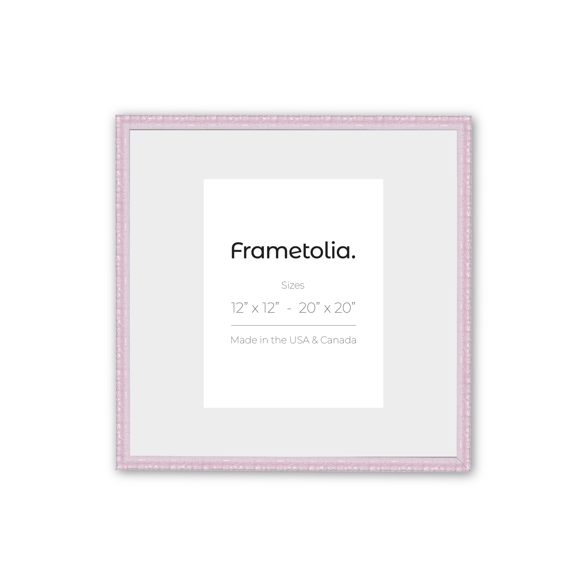 20" x 20" Shimmering Rose Petal Renaissance Charm Medium Width Wall Frame