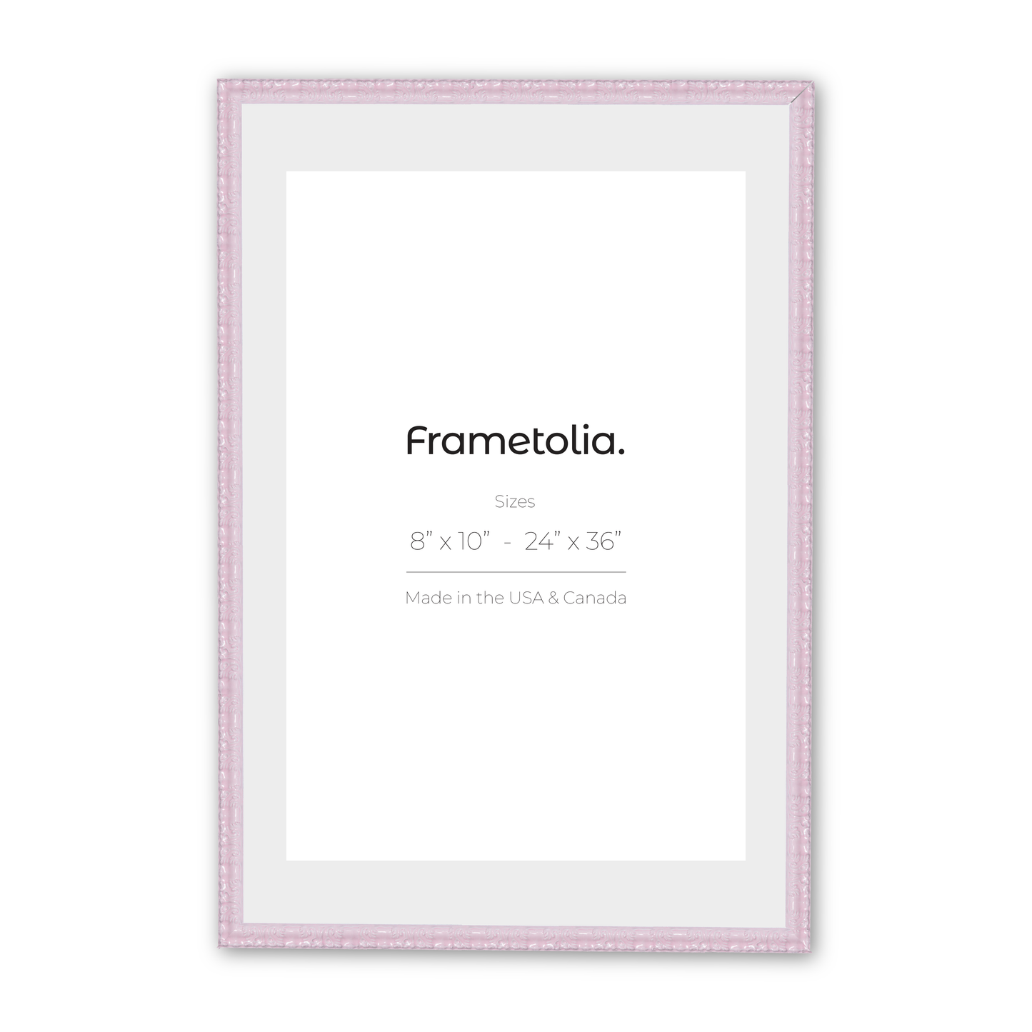 24" x 36" Shimmering Rose Petal Renaissance Charm Medium Width Wall Frame