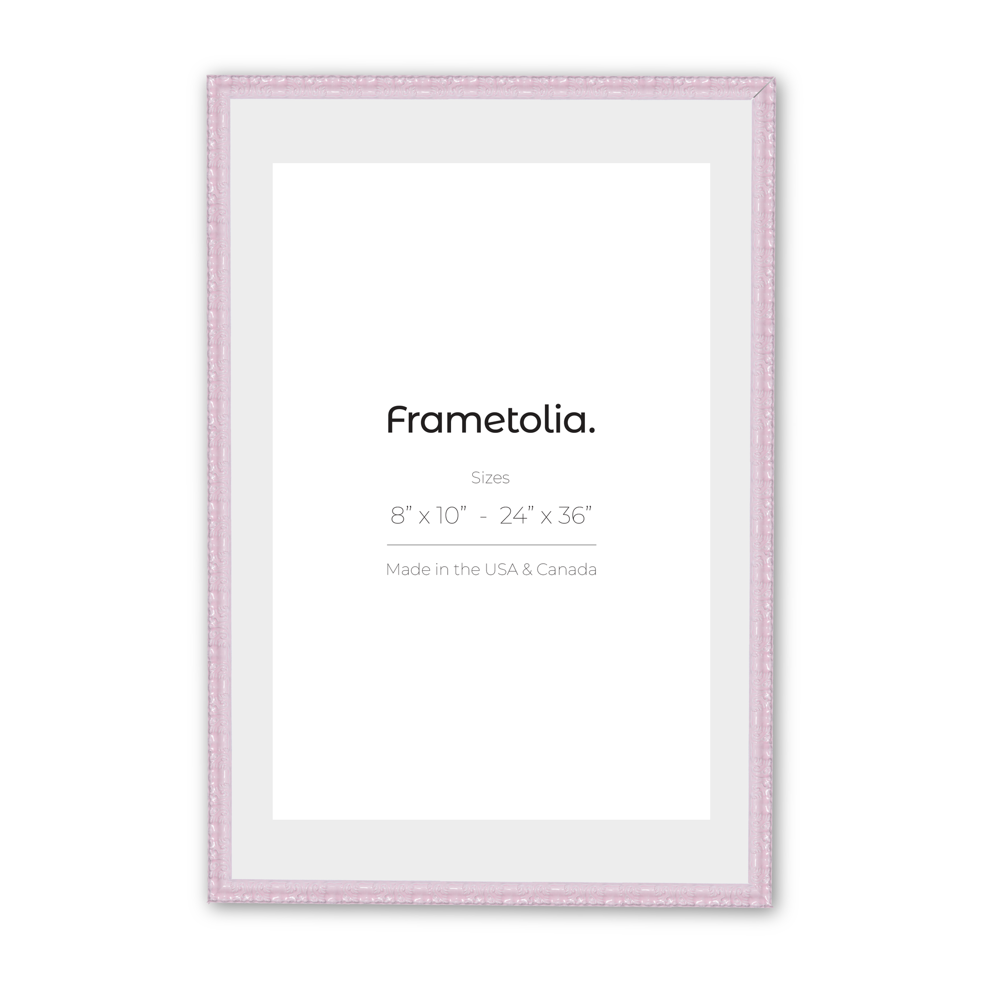 24" x 36" Shimmering Rose Petal Renaissance Charm Medium Width Wall Frame
