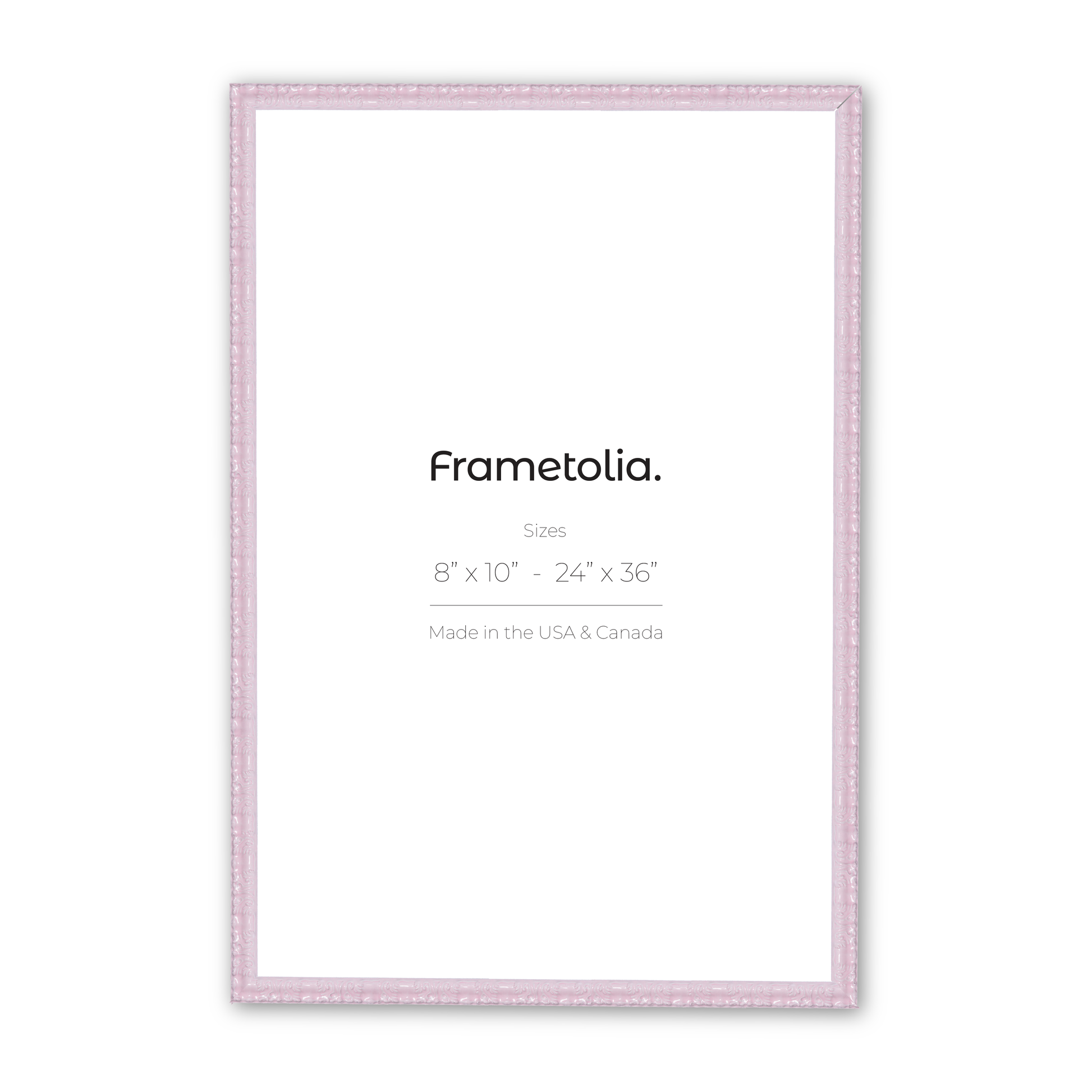 18" x 24" Shimmering Rose Petal Renaissance Charm Medium Width Wall Frame