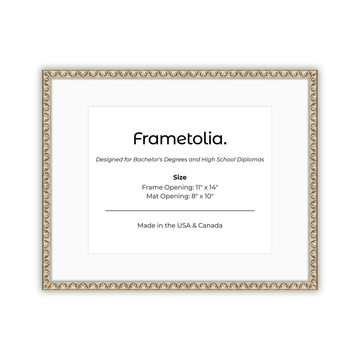 11" x 14" Sillver Leaf FAMILY  Diploma Frame with Mat - 8 x 10 opening
