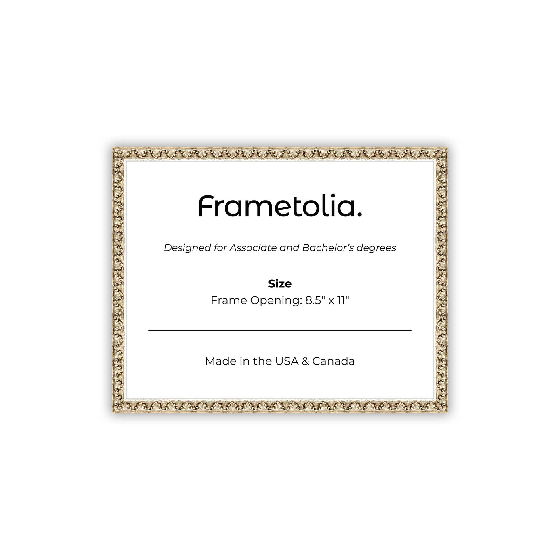8.5" x 11" Sillver Leaf FAMILY  Diploma Frame - No Mat