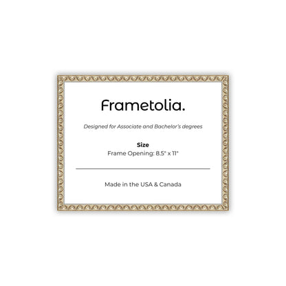8.5" x 11" Sillver Leaf FAMILY  Diploma Frame - No Mat