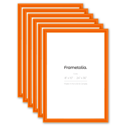 Orange Marmalade Wide Width Wall Frame, Set of 6