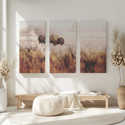 [Color:Stretched Canvas], Picture of art in a room