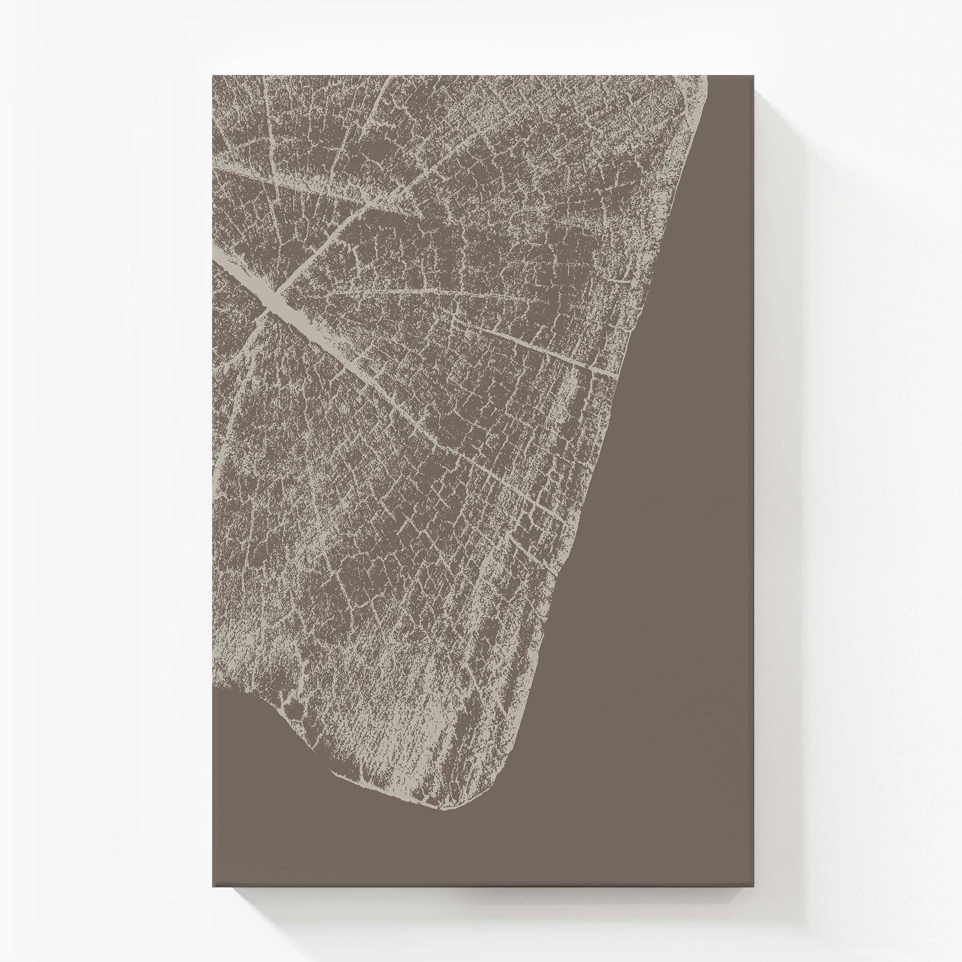 Front View of the art