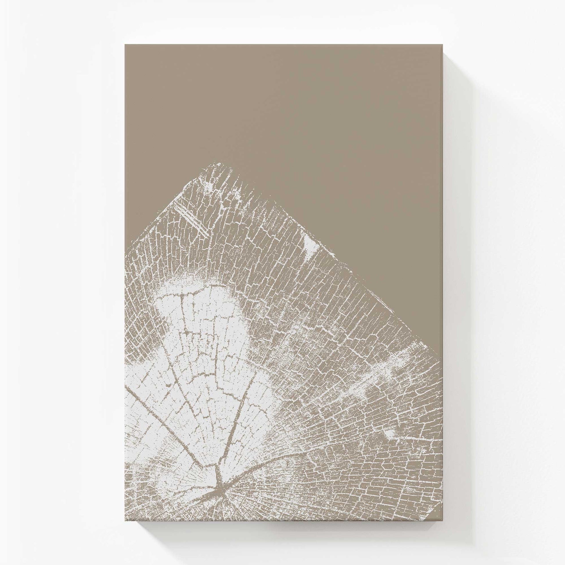 [Color:Stretched Canvas], Picture of art