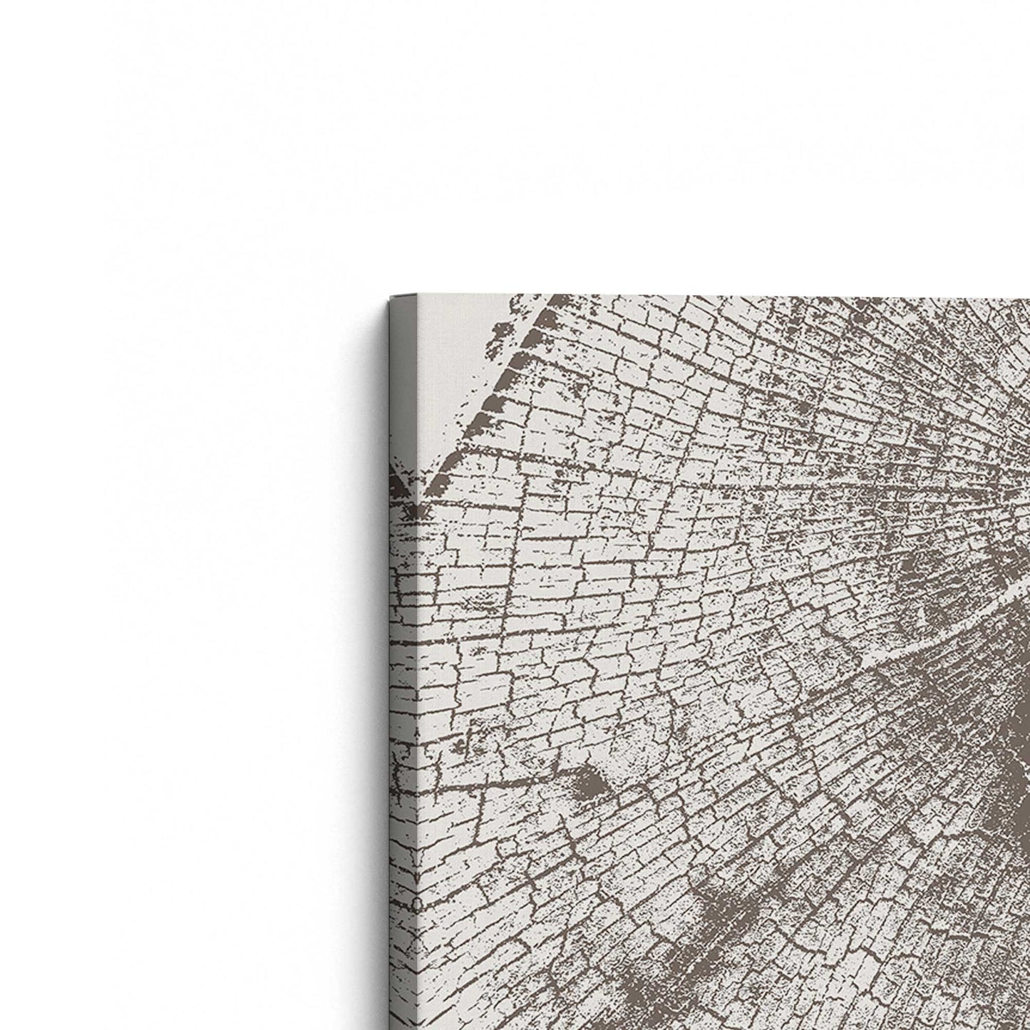 [Color:Stretched Canvas], Picture of the corner of the art