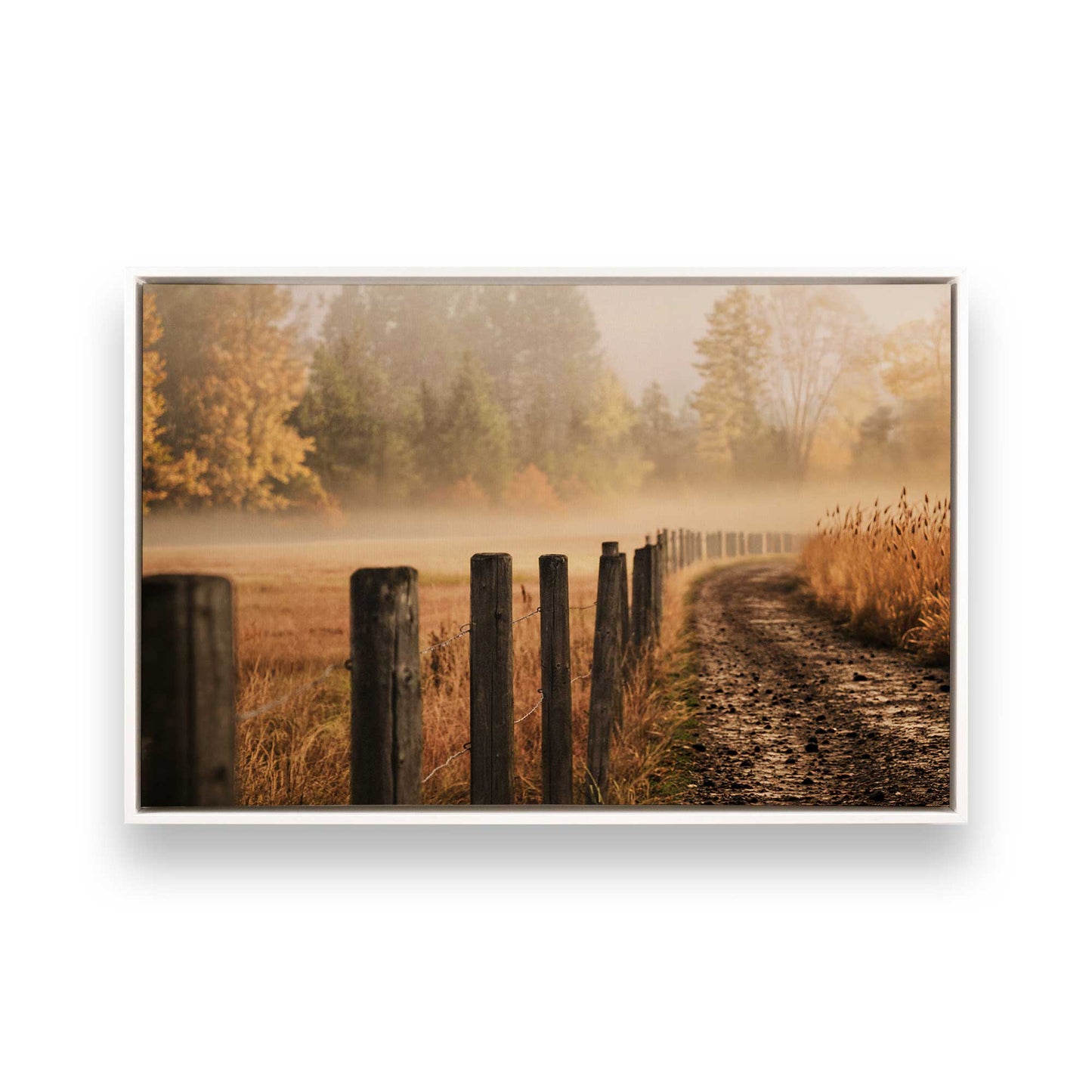 [Color:Opaque White], Picture of art in a White frame