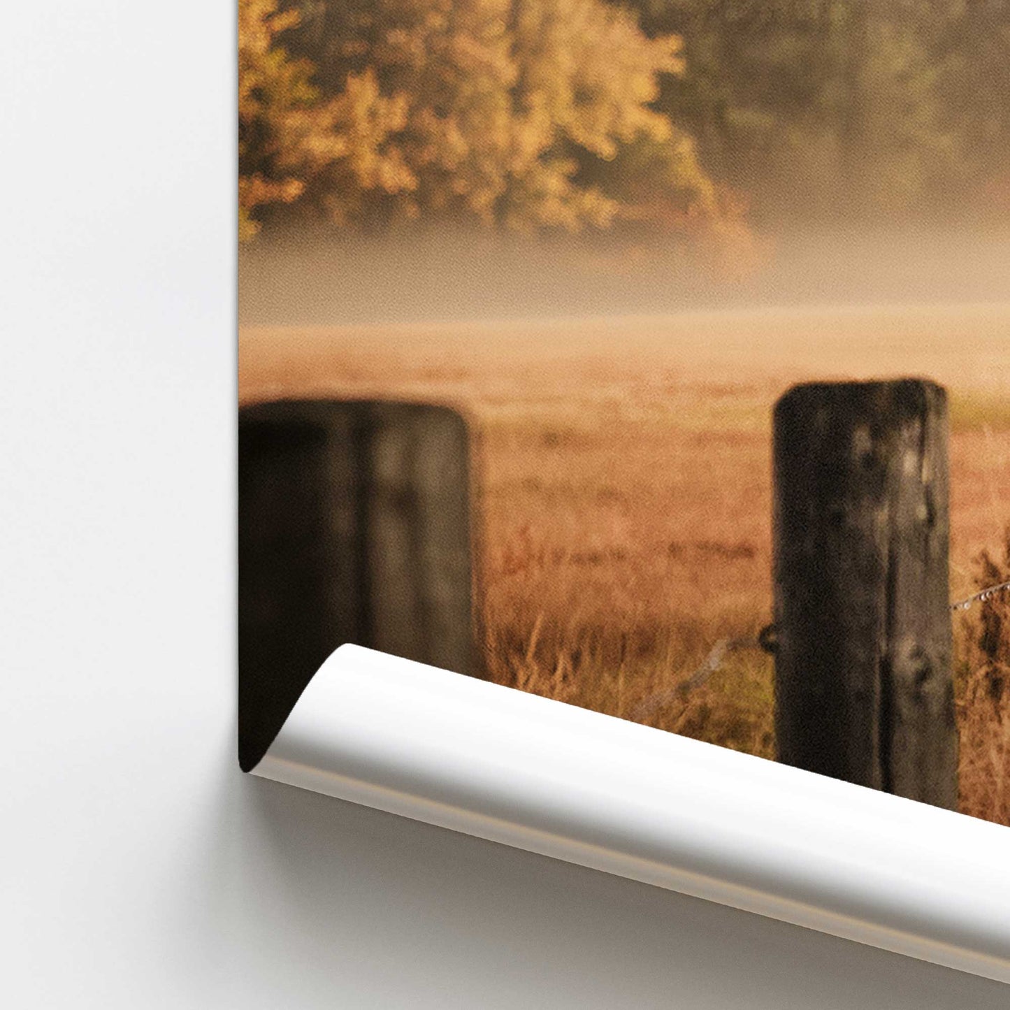 Soft Harvest Haze Print