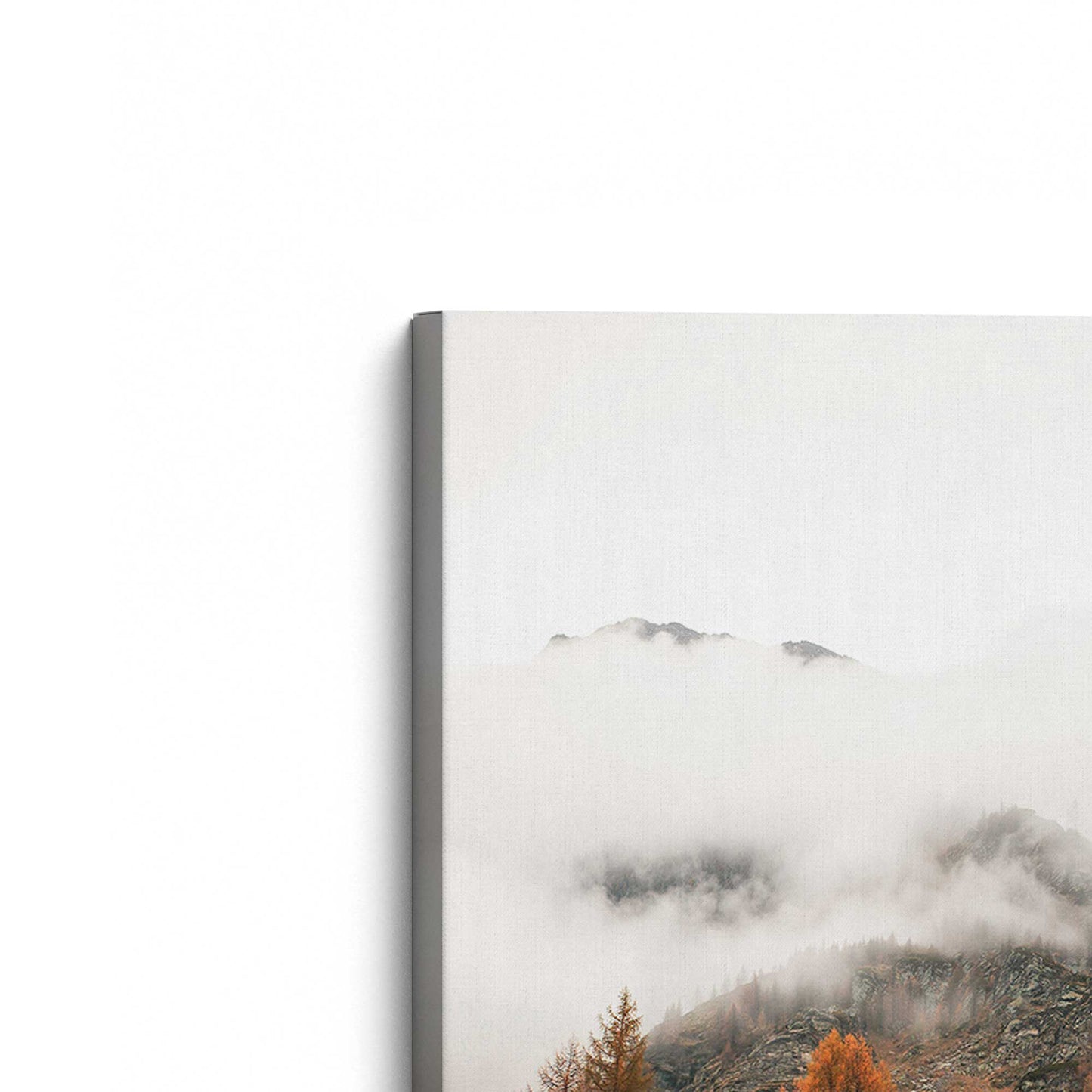 [Color:Stretched Canvas], Picture of the corner of the art